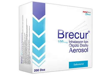 BRECUR 100 MCG OLCULU DOZLU INHALASYON SUSPANSIYONU (200 DOZ) (salbutamol -inhalant) kutu fotoğrafı, inhalasyon aerosolü. Üretici: NEUTEC İNHALER İLAÇ SANAYİ VE TİCARET ANONİM ŞİRKETİ.