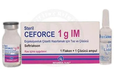 Seftriakson içeren enjeksiyonluk ürün: CEFORCE 1G IM ENJEKSIYONLUK COZLETI HAZIRLAMAK ICIN TOZ VE COZUCU kutu fotoğrafı. Üretici: İSTANBUL İLAÇ SANAYİ VE TİCARET ANONİM ŞİRKETİ.