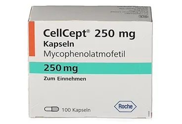 CELLCEPT ROCHE 250 MG 100 KAPSÜL (mikofenolat) kutusu, kapsül. Üretici: ROCHE MÜSTAHZARLARI SANAYİ ANONİM ŞİRKETİ.