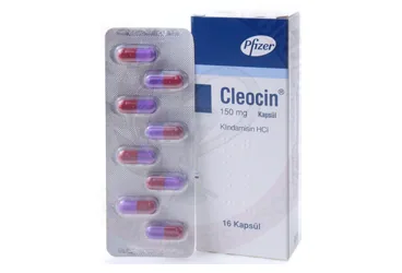 CLEOCIN 150 MG 16 KAPSUL ambalajı, kapsül formunda klindamisin içerir. Üretici: PFİZER PFE İLAÇLARI ANONİM ŞİRKETİ.