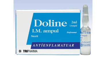 DOLINE- IM 1000 MG 1 AMPUL kutu fotoğrafı. Etofenamat içeren ampul. Üretici: TRIPHARMA İLAÇ SANAYİ VE TİCARET A.Ş.
