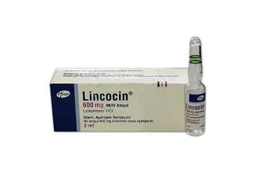 Linkomisin hcl içeren çözelti: LINCOCIN 600 MG/2 ML IM/IV ENJEKSIYONLUK COZELTI (1 AMPUL) kutu fotoğrafı. Üretici: PFİZER PFE İLAÇLARI ANONİM ŞİRKETİ.
