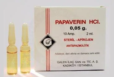PAPAVERINE HCL 0,05 GR 10 AMPUL kutu fotoğrafı, ampul formunda papaverin hcl içerir. Üretici: GALEN İLAÇ SAN.VE TİC.A.Ş.
